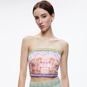 Alice & Olivia Ceresi Smocked Back Bandeau Top
